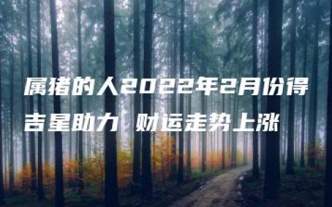 属猪的人2022年2月份得吉星助力 财运走势上涨