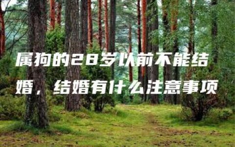 属狗的28岁以前不能结婚，结婚有什么注意事项