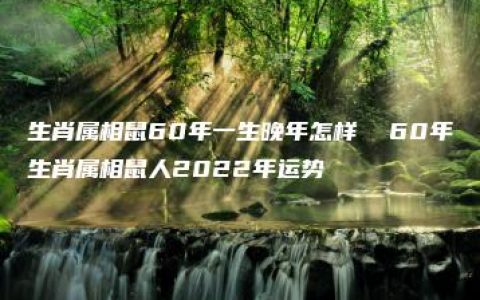 生肖属相鼠60年一生晚年怎样  60年生肖属相鼠人2022年运势