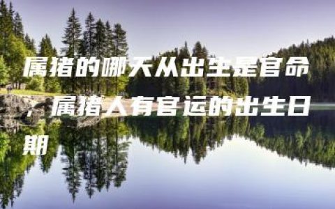 属猪的哪天从出生是官命，属猪人有官运的出生日期