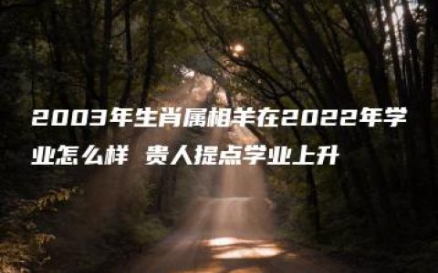 2003年生肖属相羊在2022年学业怎么样 贵人提点学业上升