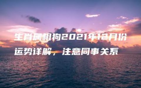 生肖属相狗2021年12月份运势详解，注意同事关系