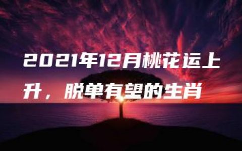 2021年12月桃花运上升，脱单有望的生肖