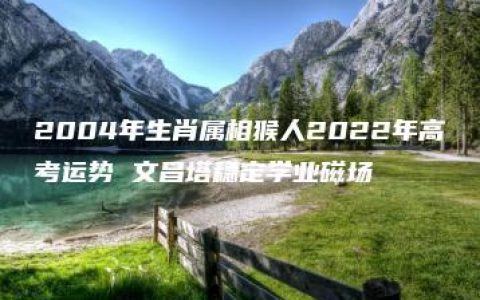 2004年生肖属相猴人2022年高考运势 文昌塔稳定学业磁场