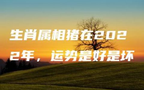 生肖属相猪在2022年，运势是好是坏