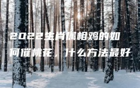 2022生肖属相鸡的如何催桃花，什么方法最好