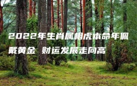 2022年生肖属相虎本命年佩戴黄金 财运发展走向高