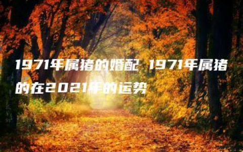 1971年属猪的婚配 1971年属猪的在2021年的运势