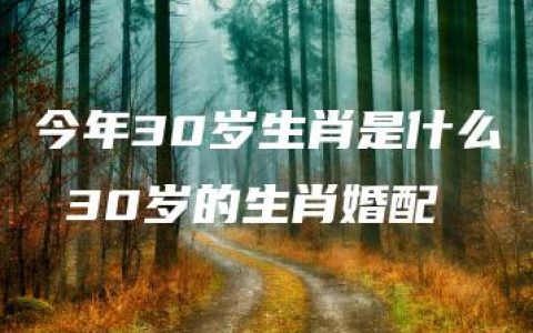 今年30岁生肖是什么 30岁的生肖婚配