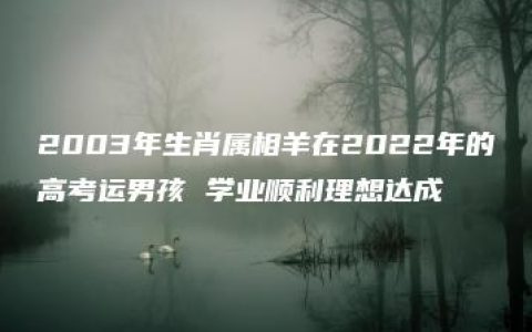 2003年生肖属相羊在2022年的高考运男孩 学业顺利理想达成