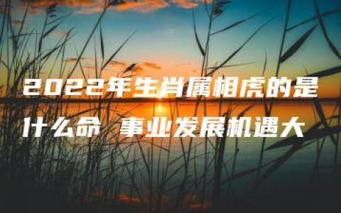 2022年生肖属相虎的是什么命 事业发展机遇大