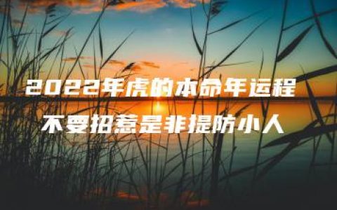 2022年虎的本命年运程  不要招惹是非提防小人