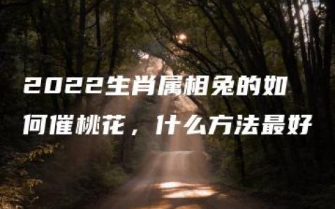 2022生肖属相兔的如何催桃花，什么方法最好