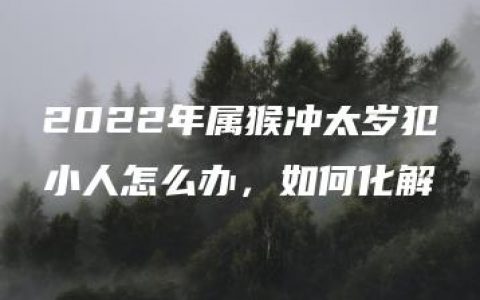 2022年属猴冲太岁犯小人怎么办，如何化解