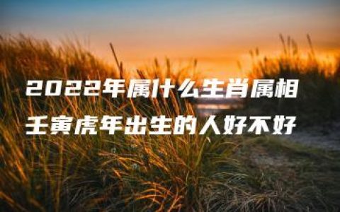 2022年属什么生肖属相 壬寅虎年出生的人好不好