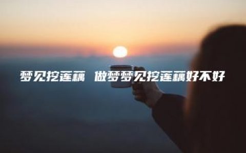 梦见挖莲藕 做梦梦见挖莲藕好不好