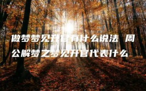 做梦梦见升官有什么说法 周公解梦之梦见升官代表什么