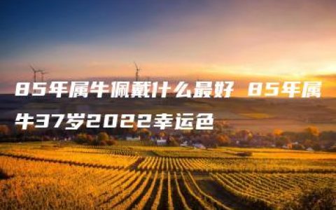 85年属牛佩戴什么最好 85年属牛37岁2022幸运色