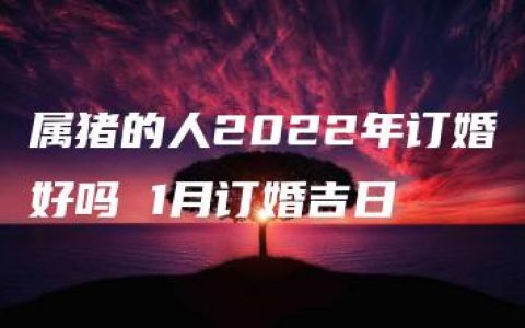 属猪的人2022年订婚好吗 1月订婚吉日