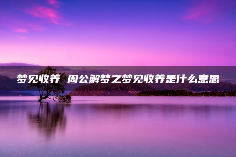 梦见收养 周公解梦之梦见收养是什么意思