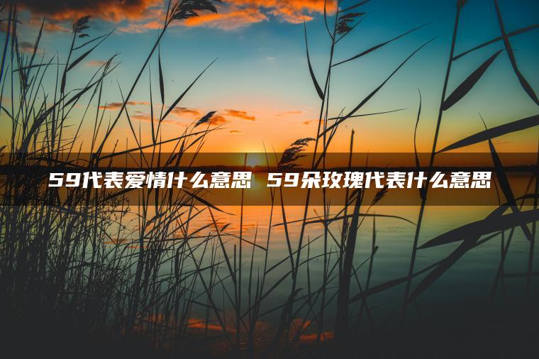 59代表爱情什么意思 59朵玫瑰代表什么意思