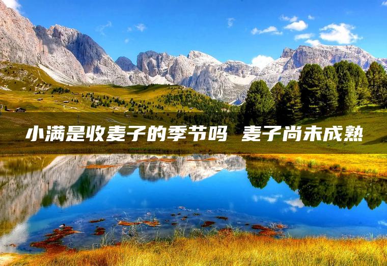 小满是收麦子的季节吗 麦子尚未成熟