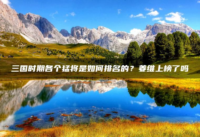 三国时期各个猛将是如何排名的？姜维上榜了吗