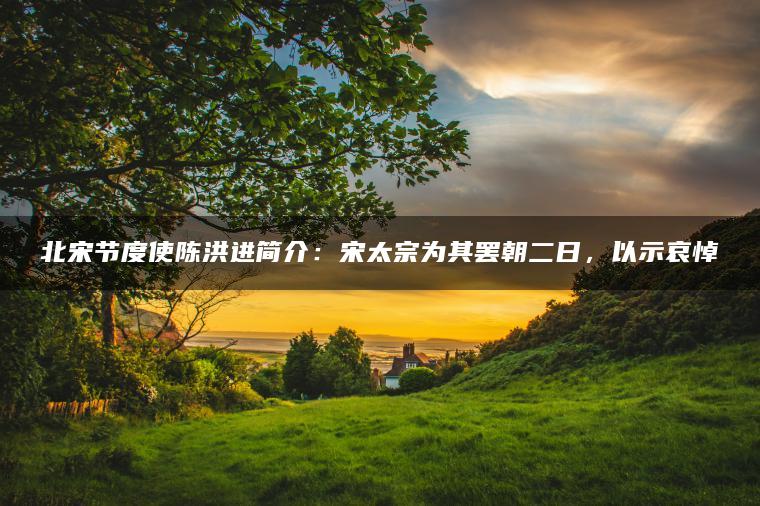 北宋节度使陈洪进简介：宋太宗为其罢朝二日，以示哀悼