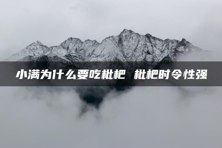 小满为什么要吃枇杷 枇杷时令性强