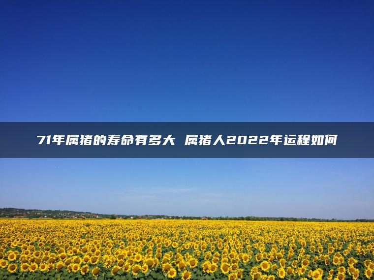 71年属猪的寿命有多大 属猪人2022年运程如何
