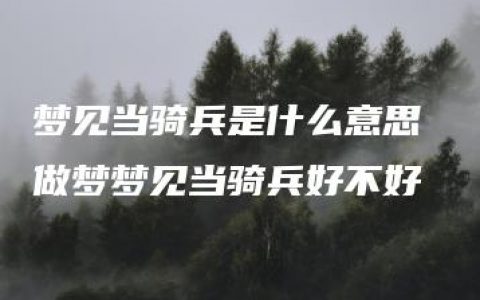 梦见当骑兵是什么意思 做梦梦见当骑兵好不好