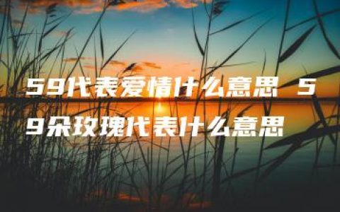 59代表爱情什么意思 59朵玫瑰代表什么意思