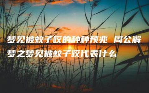 梦见被蚊子咬的种种预兆 周公解梦之梦见被蚊子咬代表什么