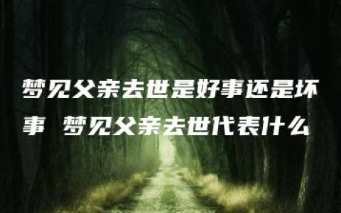 梦见父亲去世是好事还是坏事 梦见父亲去世代表什么