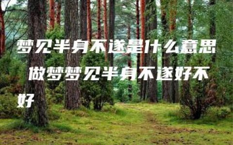 梦见半身不遂是什么意思 做梦梦见半身不遂好不好