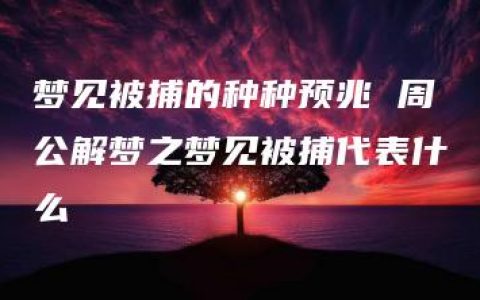 梦见被捕的种种预兆 周公解梦之梦见被捕代表什么