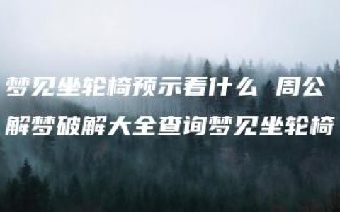 梦见坐轮椅预示着什么 周公解梦破解大全查询梦见坐轮椅