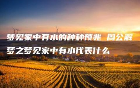梦见家中有水的种种预兆 周公解梦之梦见家中有水代表什么