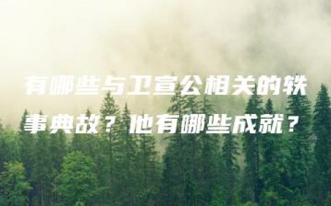 有哪些与卫宣公相关的轶事典故？他有哪些成就？