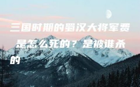 三国时期的蜀汉大将军费祎是怎么死的？是被谁杀的