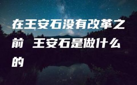 在王安石没有改革之前 王安石是做什么的