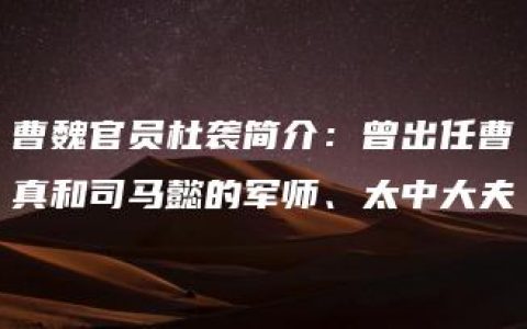 曹魏官员杜袭简介：曾出任曹真和司马懿的军师、太中大夫