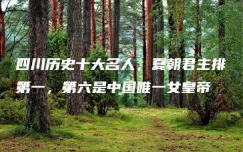 四川历史十大名人，夏朝君主排第一，第六是中国唯一女皇帝