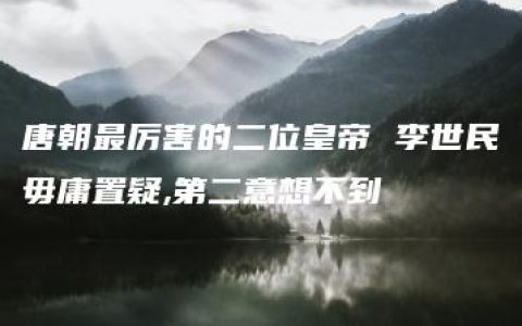 唐朝最厉害的二位皇帝 李世民毋庸置疑,第二意想不到