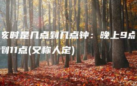 亥时是几点到几点钟：晚上9点到11点(又称人定)