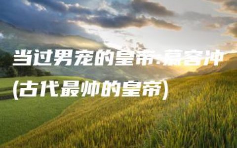 当过男宠的皇帝:慕容冲(古代最帅的皇帝)