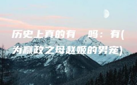 历史上真的有嫪毐吗：有(为嬴政之母赵姬的男宠)