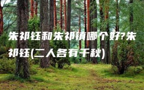 朱祁钰和朱祁镇哪个好?朱祁钰(二人各有千秋)