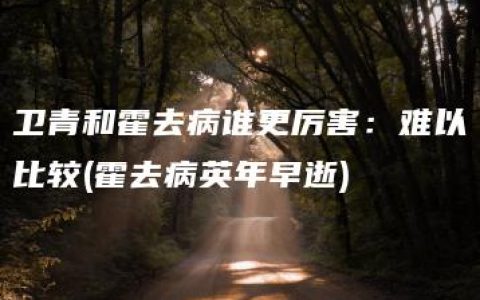 卫青和霍去病谁更厉害：难以比较(霍去病英年早逝)