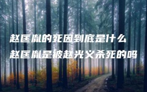 赵匡胤的死因到底是什么 赵匡胤是被赵光义杀死的吗